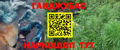 МДПВ Славгород