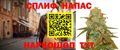 МДПВ Славгород